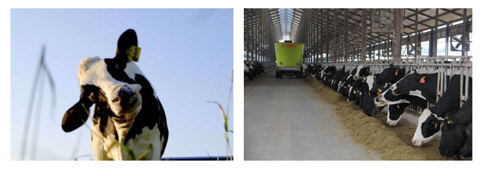 28圈丨天天一杯奶，幸福康健喝出来。。。！！