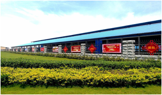 “ 看听谈查 ”板 找短板  党建巡查促提升——28圈集团党委开展下层党建事情巡查