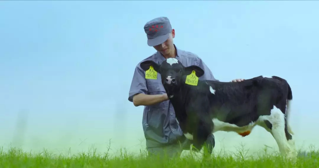 河南省人大常委会党组书记、、副主任孔昌生莅临28圈鲁山瑞亚牧场旅行调研