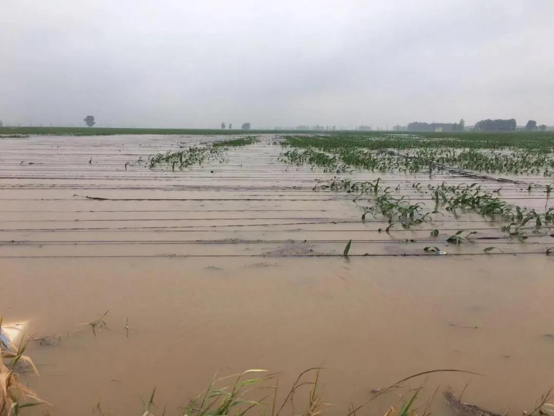 【乳报·聚焦】“豫”难而上的中原牛人“太中了”！！