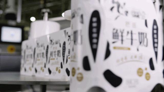 快讯 | 长江商学院智能制造学会走进28圈乳业集团