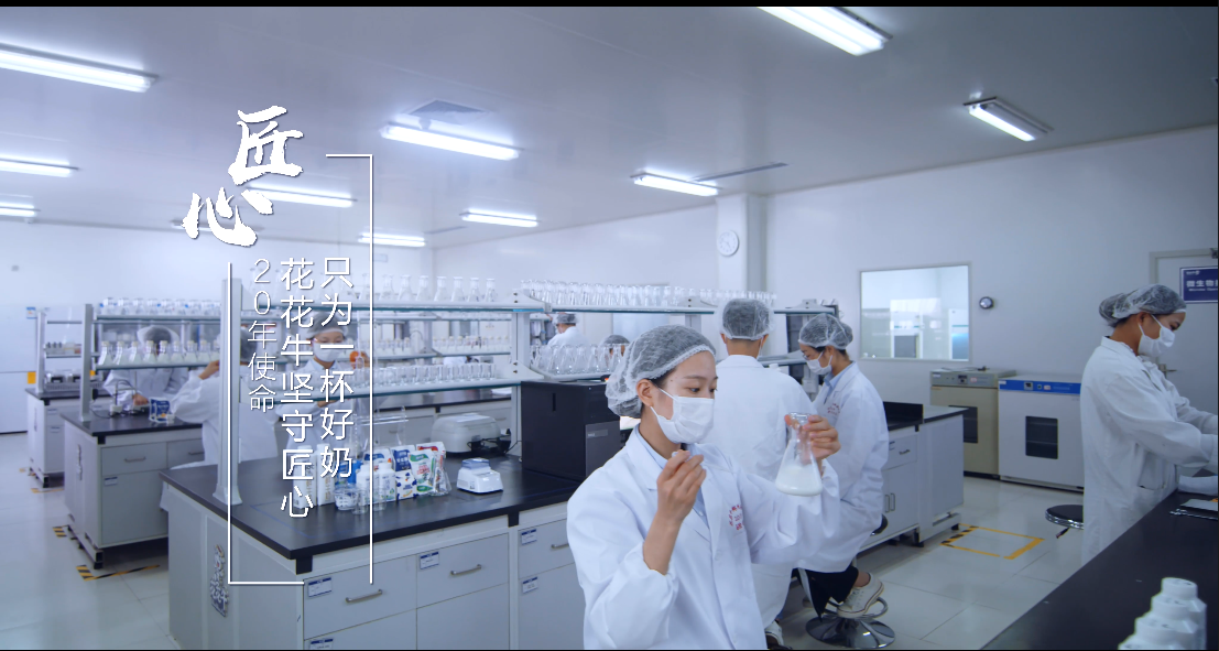 郑州市委副书记、、市长王新伟莅临28圈乳业集团调研