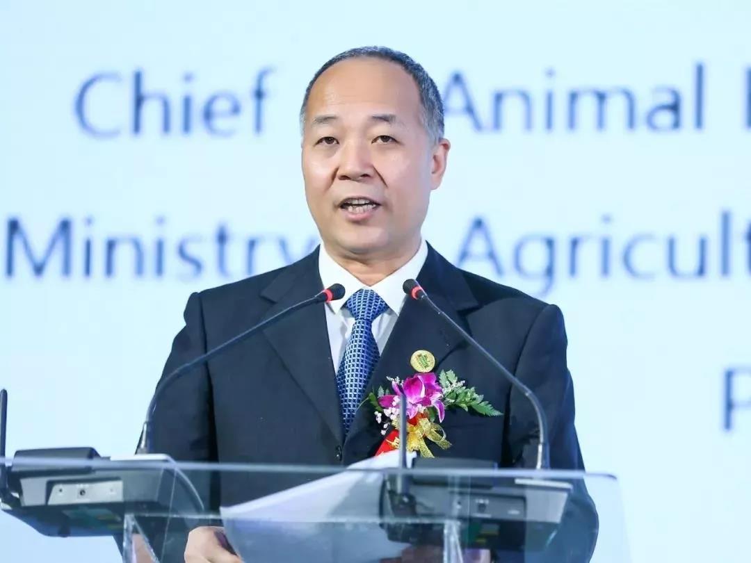 SDDDC走进河南，看看28圈的国际范儿！！！