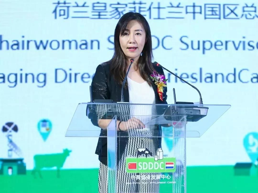 SDDDC走进河南，看看28圈的国际范儿！！！