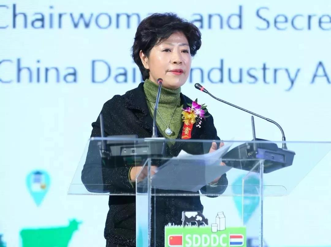 SDDDC走进河南，看看28圈的国际范儿！！！