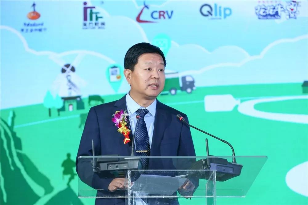 SDDDC走进河南，看看28圈的国际范儿！！！