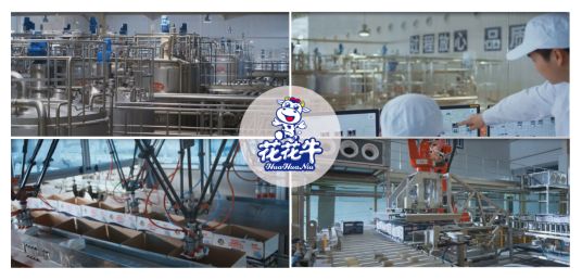 荣获天下“质量月”五项大奖，，28圈真牛！