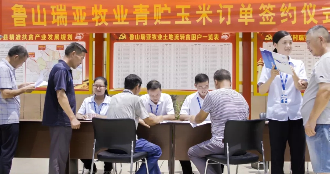 省委书记王国生到河南28圈乳业集团·新蔡瑞亚牧业有限公司调研