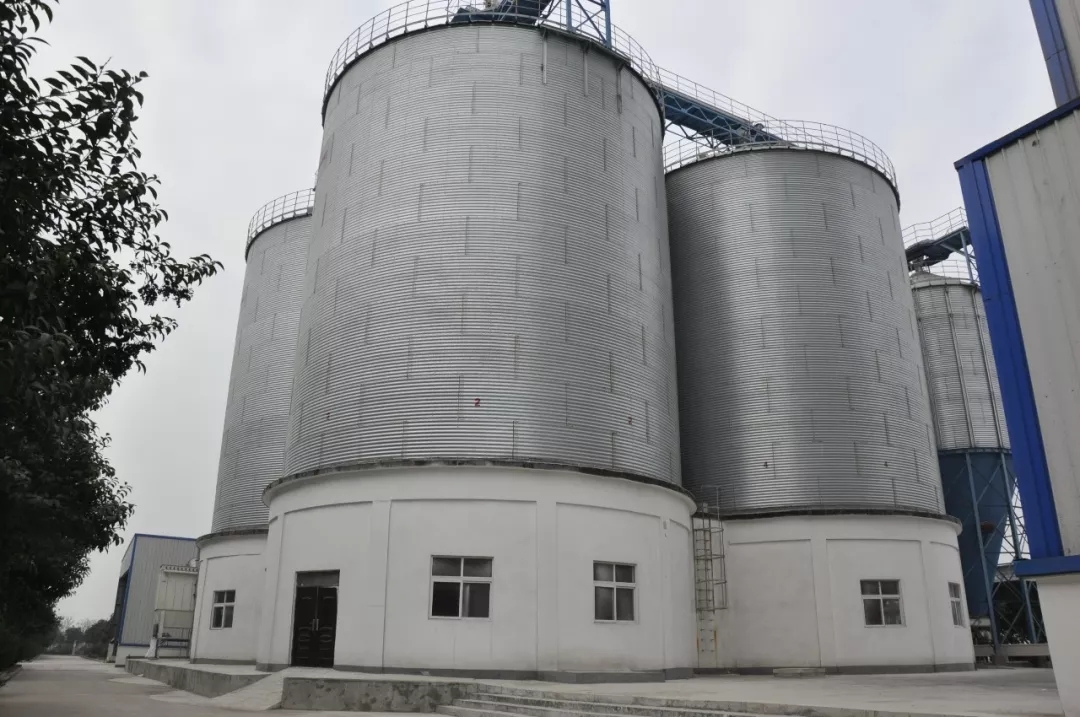 第31届中原畜牧业生意博览会 || 28圈乳业集团获“河南省畜牧行业——最具影响力品牌”奖