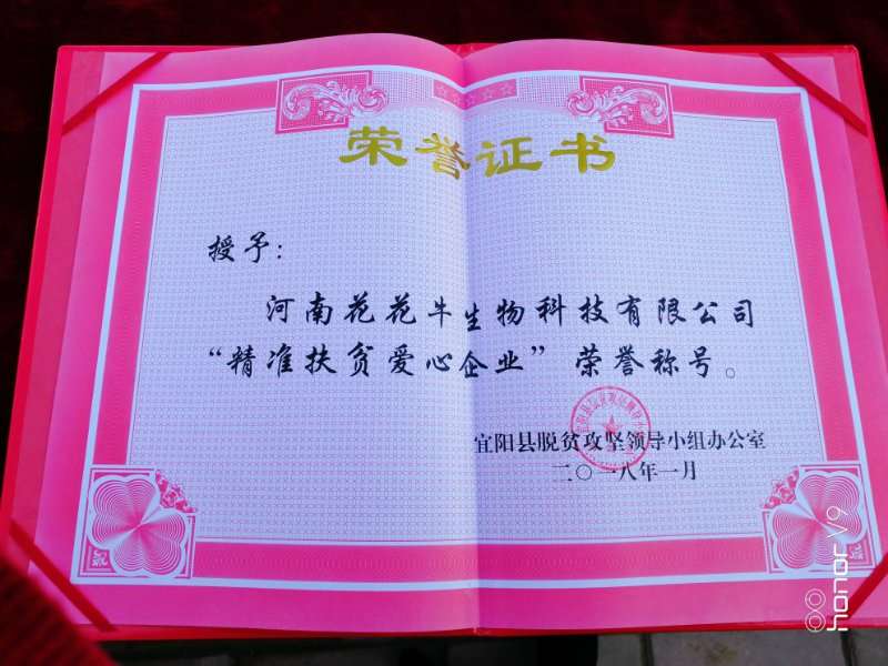 关爱开展 相伴未来——精准扶贫“暖冬公益行”走进宜阳县白杨镇