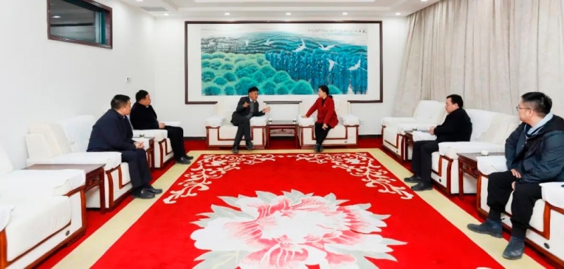 施展工业优势 助力墟落振兴 | 民权县委副书记、县长王静娴会见关晓彦董事长一行