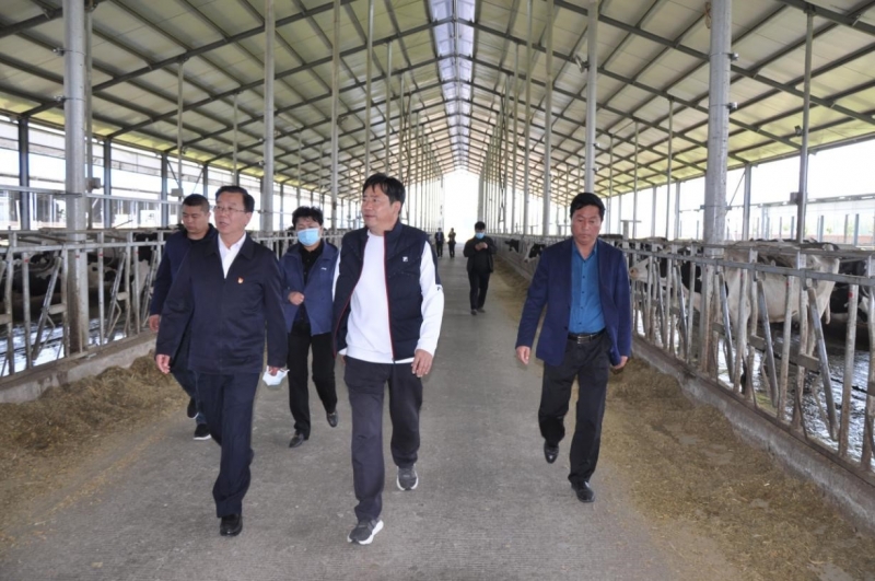 商丘市委常委、、宣传部部长王全周一行莅临睢县瑞亚牧业有限公司调研