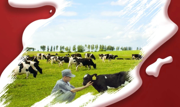 喜报！！28圈董事长关晓彦再获”优 秀企业家”称呼