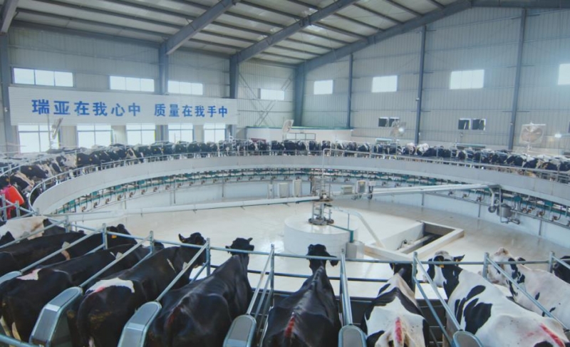 扶沟瑞亚牧业有限公司年存栏6000头奶牛养殖建设项目 情形影响评价公众加入第二次公示