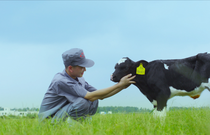 叶县瑞亚牧业有限公司 年存栏5000头奶牛一期存栏3000头奶牛建设项目 情形影响评价公众加入第二次