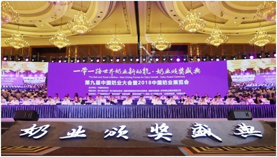 殊荣是奋斗的动力 28圈荣获三项大奖!!!